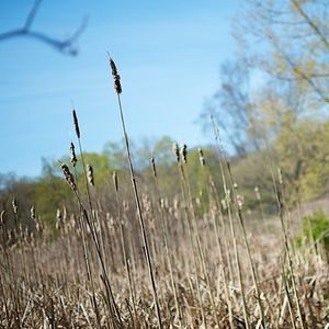 Meet your Posher, Elisabeth